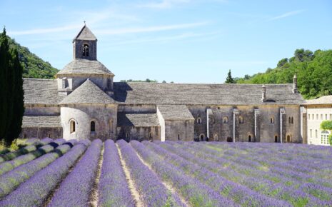 Excursion Lavande Abbaye de Sénanque, Lavande de Provence, Visite Provence, Guide Provence, Visiter Provence, Visite Marseille, Visite Aix en Provence, Visite Arles, Visite Avignon