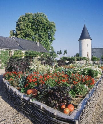 Visite du Château du Rivau