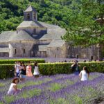 Abbaye région Sud, Guide Abbaye de Sénanque, Guide Conférencier Sénanque, Guide Provence, Guides Provence