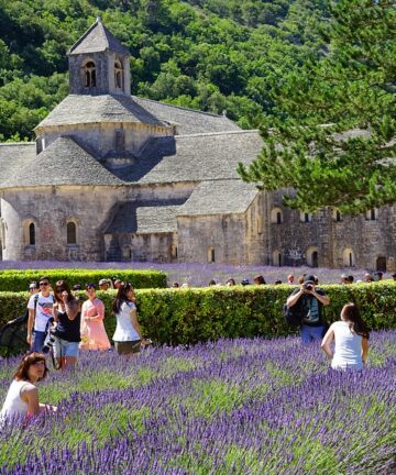 Abbaye région Sud, Guide Abbaye de Sénanque, Guide Conférencier Sénanque, Guide Provence, Guides Provence