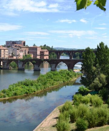 Visite d'Albi, Guide Albi