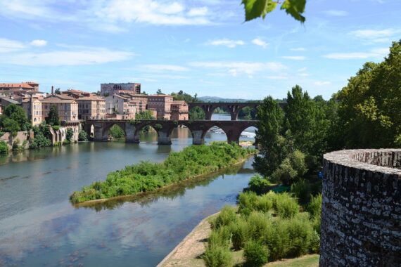 Visite d'Albi, Guide Albi