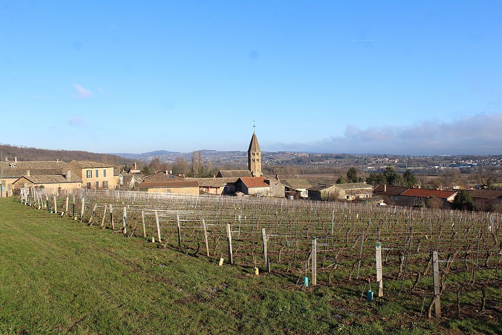 N°1 Guide Mâcon (2h) - Le meilleur de la France