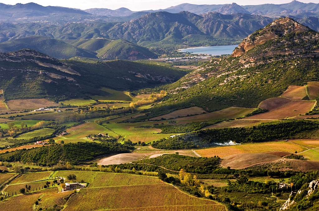 Vignoble Saint Florent