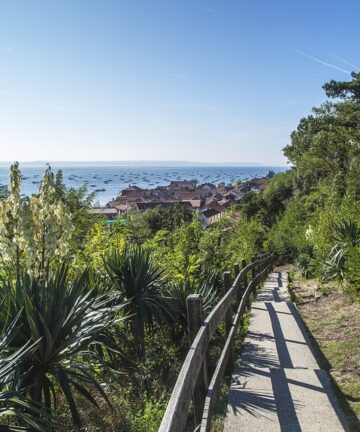 Visite d'Arcachon, Guide Arcachon