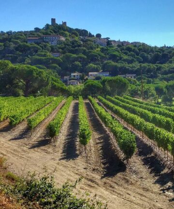 Guide Grimaud, Visiter Saint Tropez