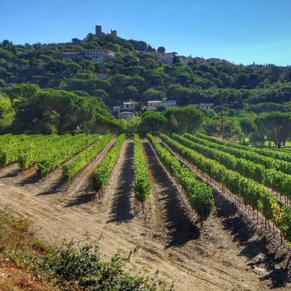 Guide Grimaud, Visiter Saint Tropez