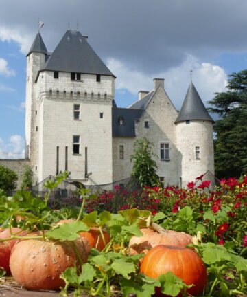 Visite Guidée Rivau, Château de la oire