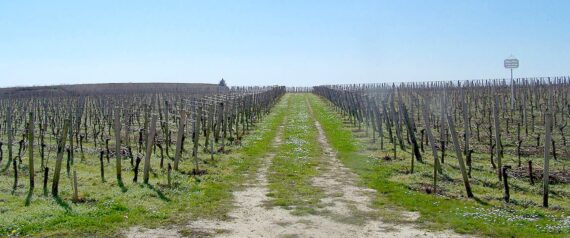 Visite de Saint Emilion, Guide Saint Emilion