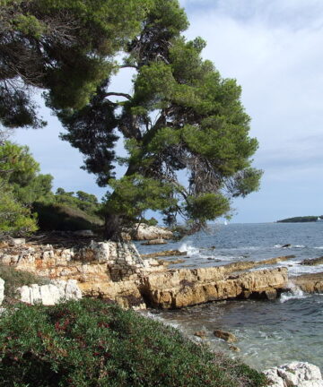 Visite Guidée Fort Sainte Marguerite, Guide Cannes, Guide Conférencier Cannes, Visite Guidée Cannes, Visite Cannes