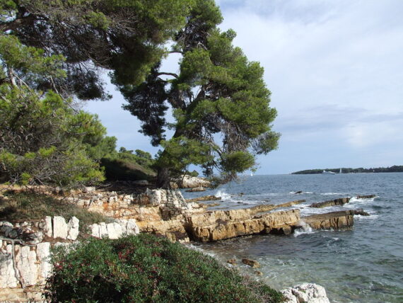 Visite Guidée Fort Sainte Marguerite, Guide Cannes, Guide Conférencier Cannes, Visite Guidée Cannes, Visite Cannes