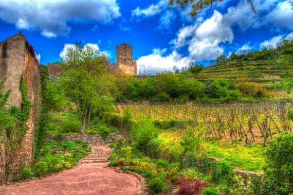 Visite de Kaysersberg, Visite Guidée Kaysersberg