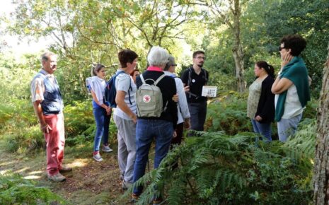 Guide Conférencier Normandie, Guide Normandie, Visiter Normandie, Normandie Tourisme