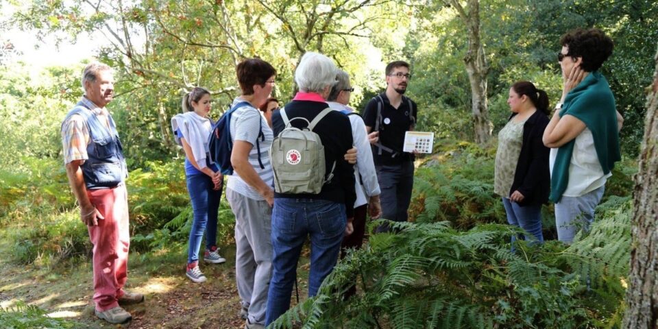 Guide Conférencier Normandie, Guide Normandie, Visiter Normandie, Normandie Tourisme