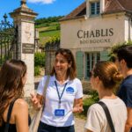 Visite Guidée Meursault, Guide Meursault, Guide Bourgogne