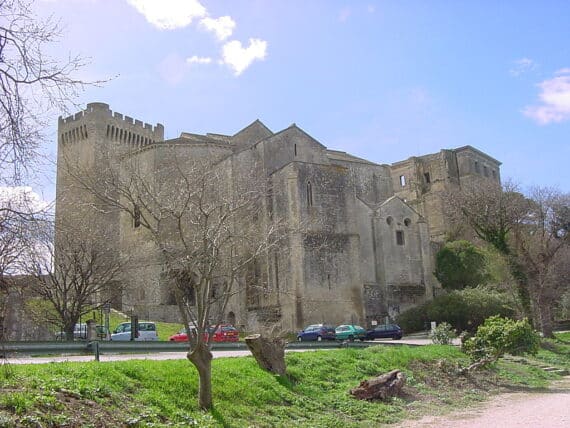 Guide Abbaye de Montmajour, Guide Conférencier Abbaye de Montmajour