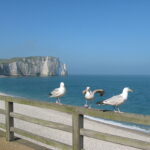 Visite Etretat, Guide Conférencier Etretat, Guide Etretat, Visite Etretat