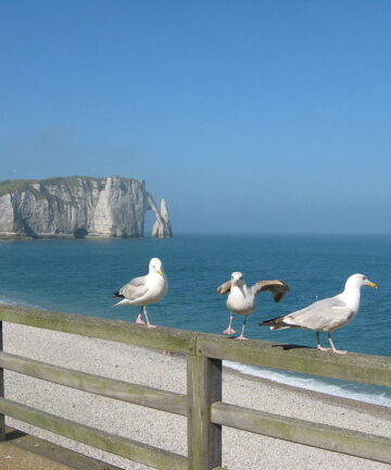 Visite Etretat, Guide Conférencier Etretat, Guide Etretat, Visite Etretat