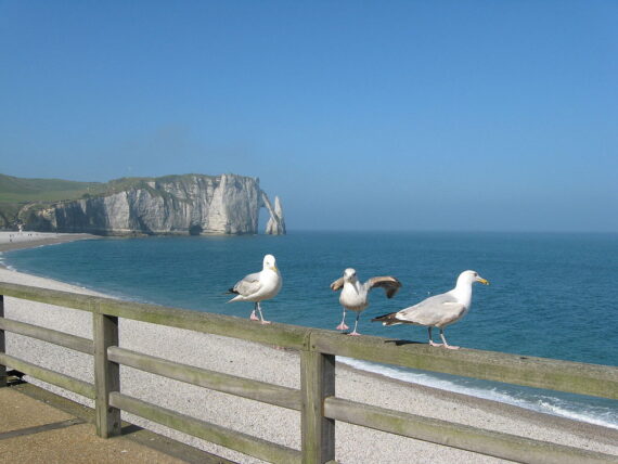 Visite Etretat, Guide Conférencier Etretat, Guide Etretat, Visite Etretat