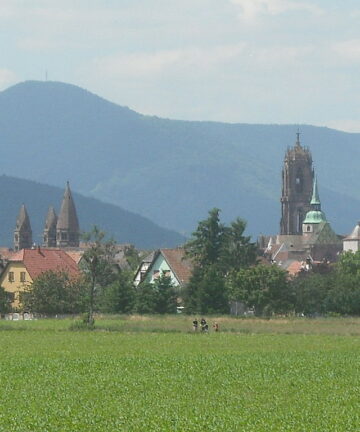 guide selestat, visite guidée sélestat, visite sélestat, guide conférencier sélestat