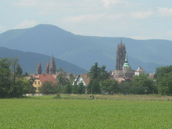 guide selestat, visite guidée sélestat, visite sélestat, guide conférencier sélestat