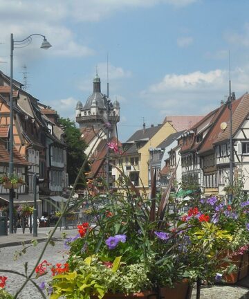 Visite de Sélestat, Guide Sélestat, Guide Conférencier Sélestat, Visite Guidée Sélestat, Visiter Alsace, Guide Alsace, Guide Conférencier Alsace