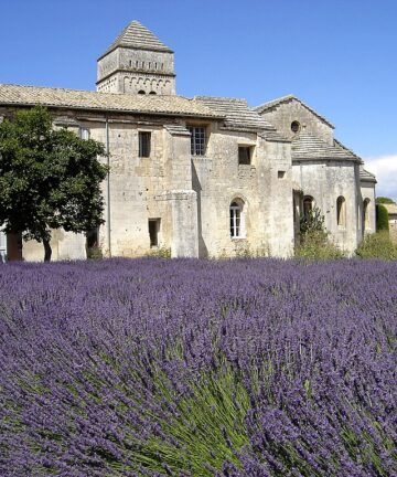 Guide Touristique Saint Rémy de Provence, Guide Saint Rémy de Provence, Visite Guidée Saint Rémy de Provence