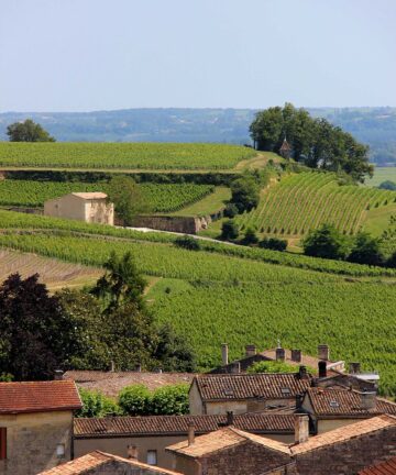 Guide Touristique Saint Emilion, guide Saint Emilion