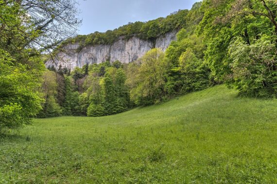 Visite Guidée Fontaine