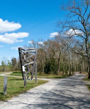 Visite Guidée Pessac