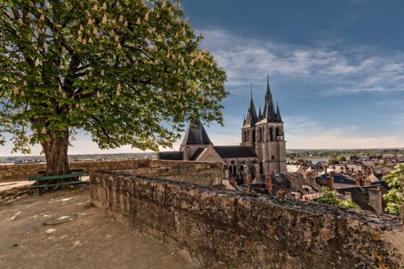 Guide Touristique Blois