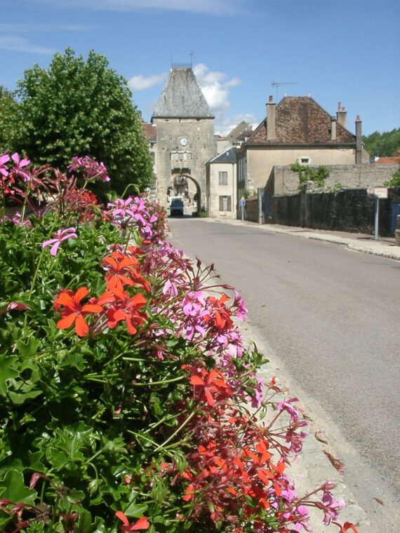 Noyers sur Serein, Guide Touristique Noyers