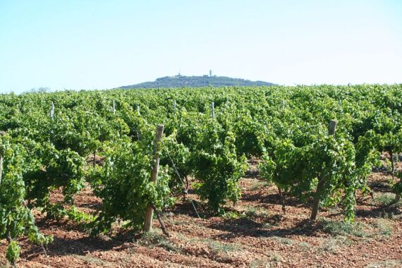 Visite Guidée Agde