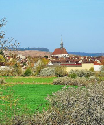 Visite Guidée Chablis