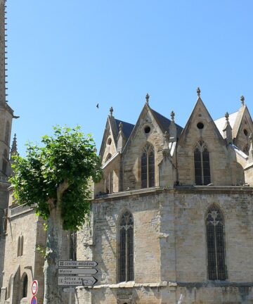 Visite Guidée Mirepoix