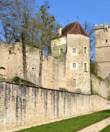 Visite Guidée Montbard