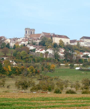 Visite Guidée Langres