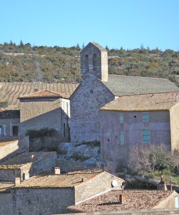 Guide Minerve