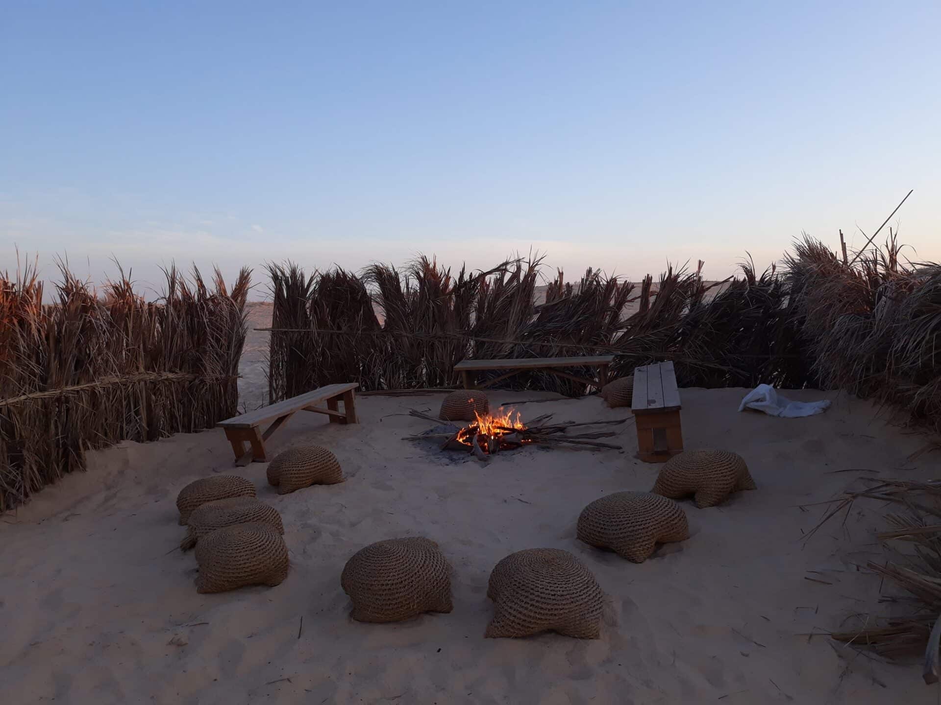 Excursion Chameau 4x4 Douz, Excursion Dromadaire Douz, Excursion Trekking Douz, Voyage Tunisie, Désert Tunisie 4x4