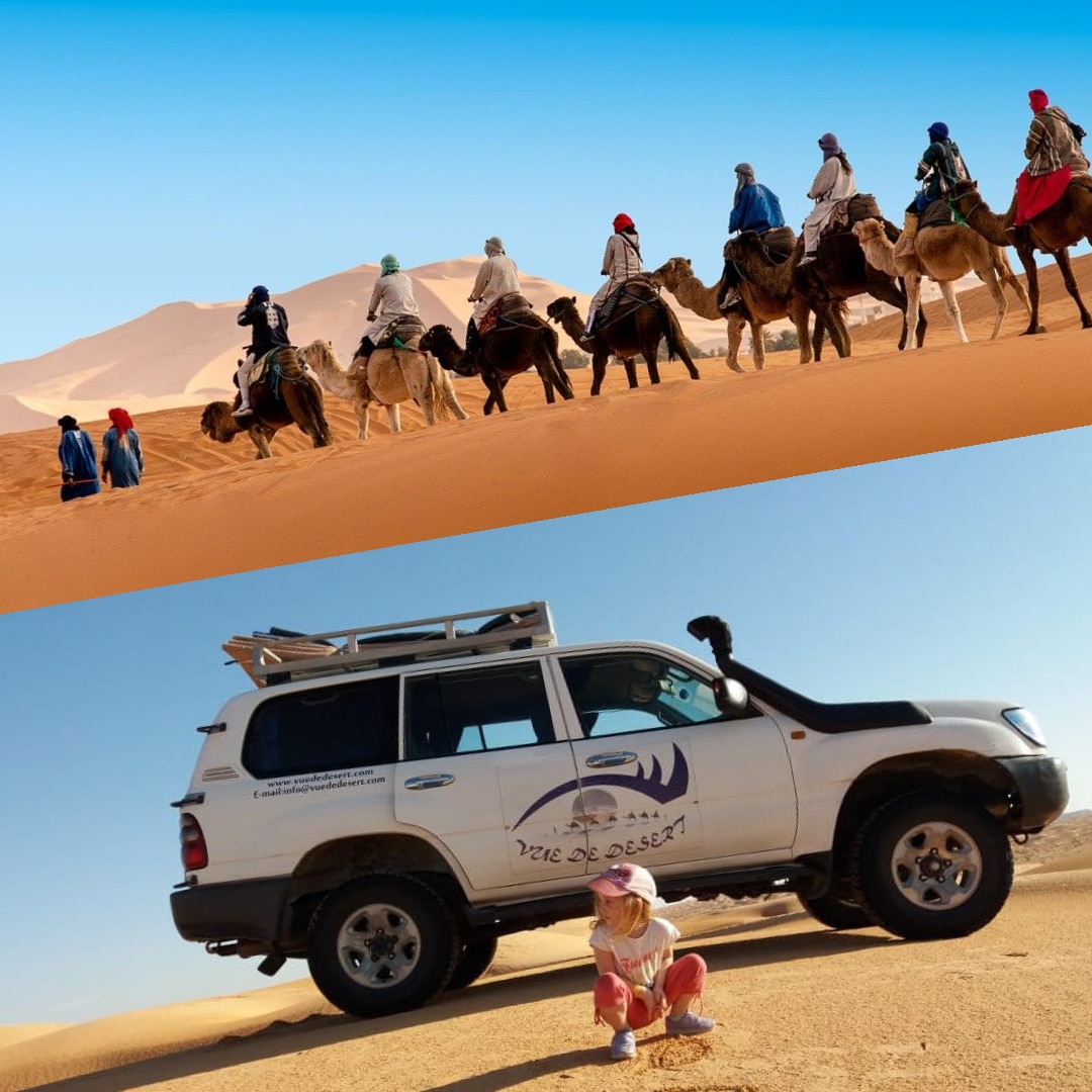 Excursion Chameau 4x4 Douz, Excursion dromadaire 4x4 Douz