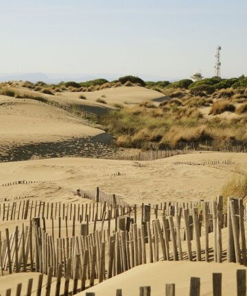 Guide Camargue, Visiter Camargue, Guide Grau du Roi, Visiter Grau du Roi, Tourisme Camargue