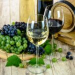 Vin bourgogne, Vins Bourgogne, Guide Bourgogne, Vins de Bourgogne