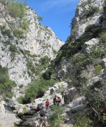 Guide Ollioules, Guide Provence, Visiter Provence