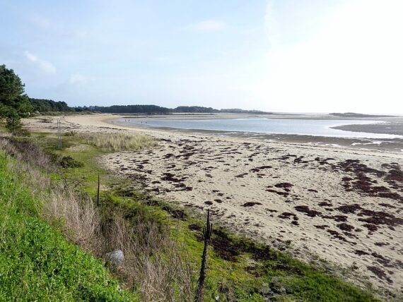 Guide La Trinité sur Mer, Visite de la Trinité sur Mer, Visiter la Bretagne, Guide Bretagne, Guide Touristique Bretagne