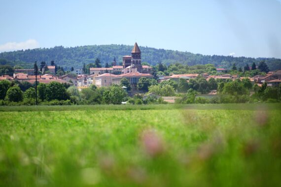 Visite de Brioude, Guide Brioude