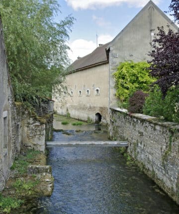 Druyes-les-Belles-Fontaines