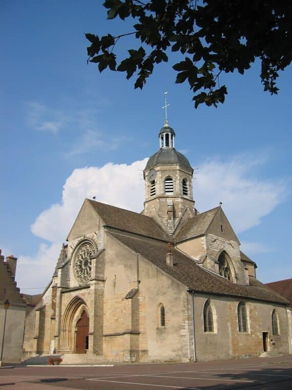 Visite Guidée Seurre, Guide Seurre