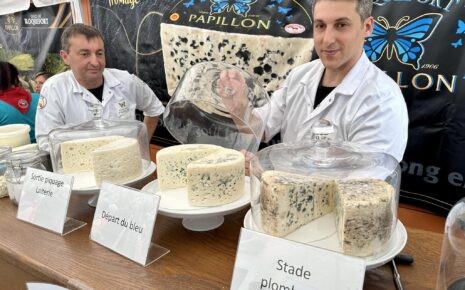 Visiter Millau, Visite Millau