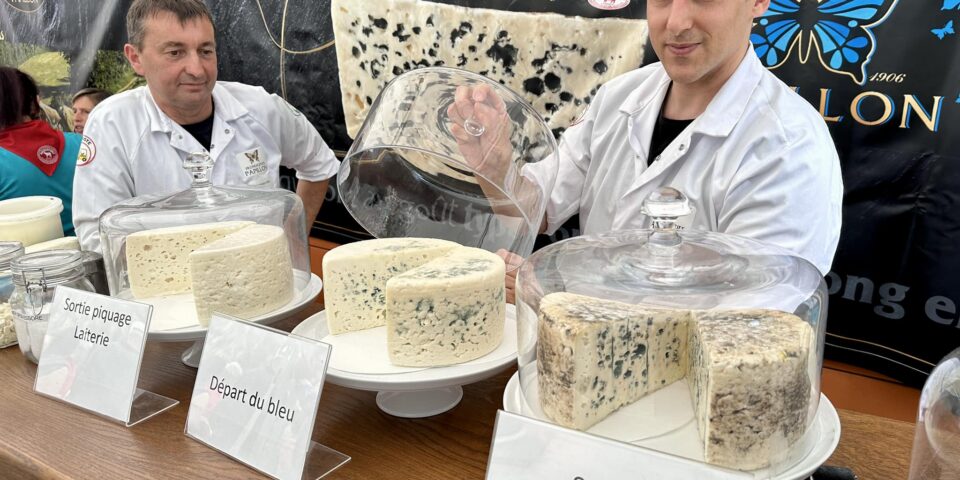 Visiter Millau, Visite Millau