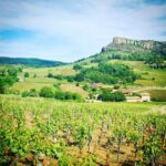 Route des vins Bourgogne, Visiter Dijon, Guide Dijon, Visiter Bourgogne